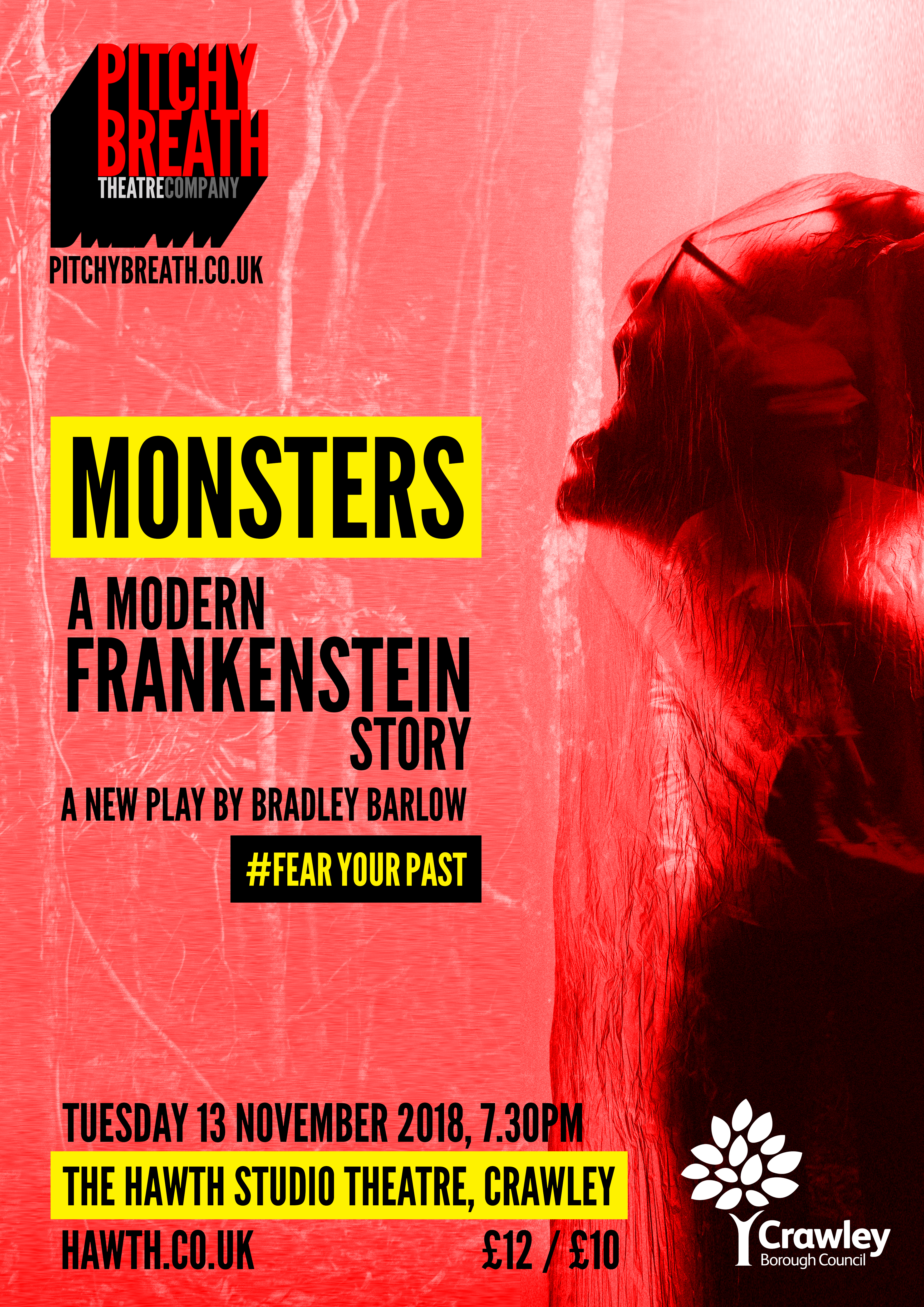 Monsters: A Modern Frankenstein Story